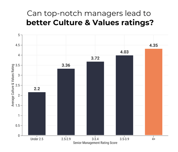 managers and culture & value 