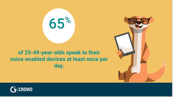 voice device infographic