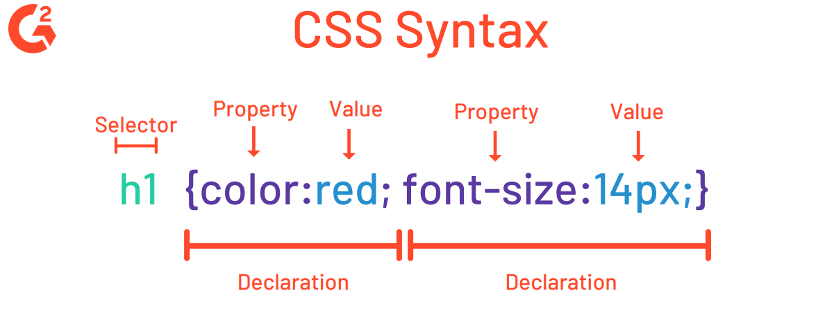 Coding for Websites: Everything You Need To Know