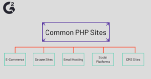 Coding for Websites: Everything You Need To Know