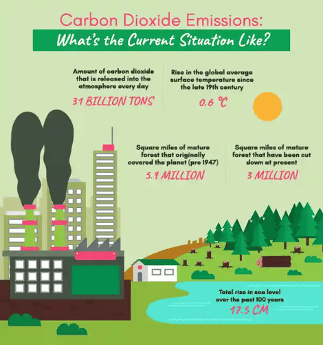 animated infographic example 1-1