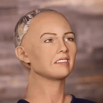 sophiarobot