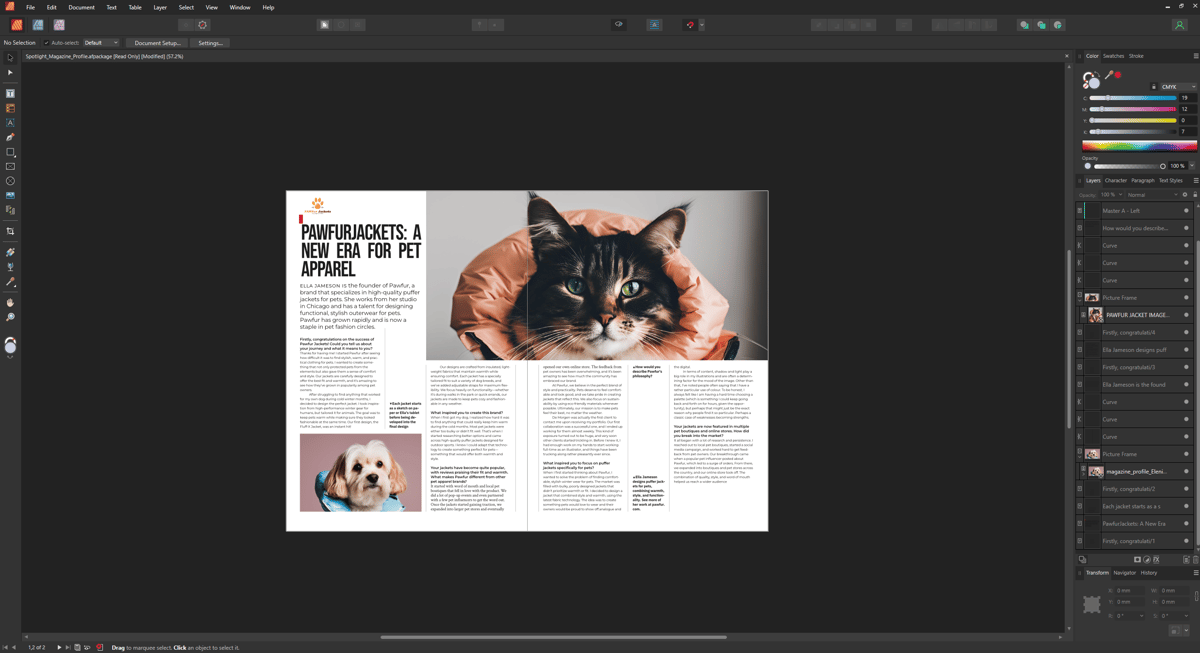 My 9 Best Graphic Design Software Picks for Stunning Designs