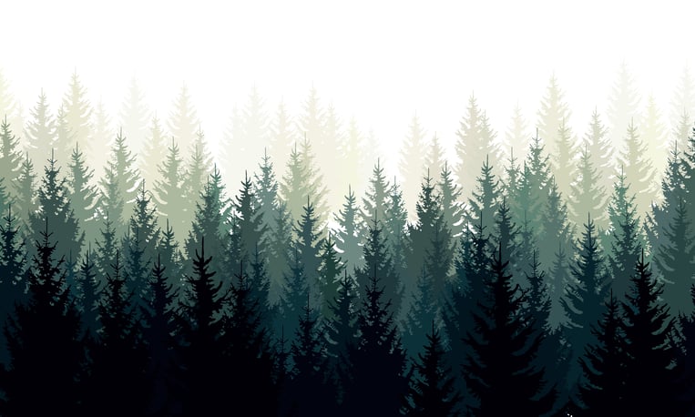 What Is Evergreen Content? (+11 Content Types That Drive Traffic)