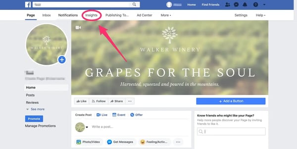 Facebook insights