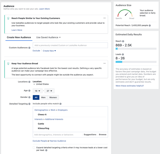 Facebook lead ad audience