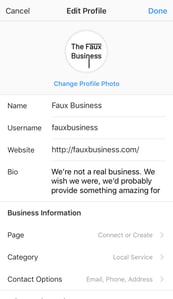 Instagram Business Profile Information
