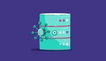 database security 
