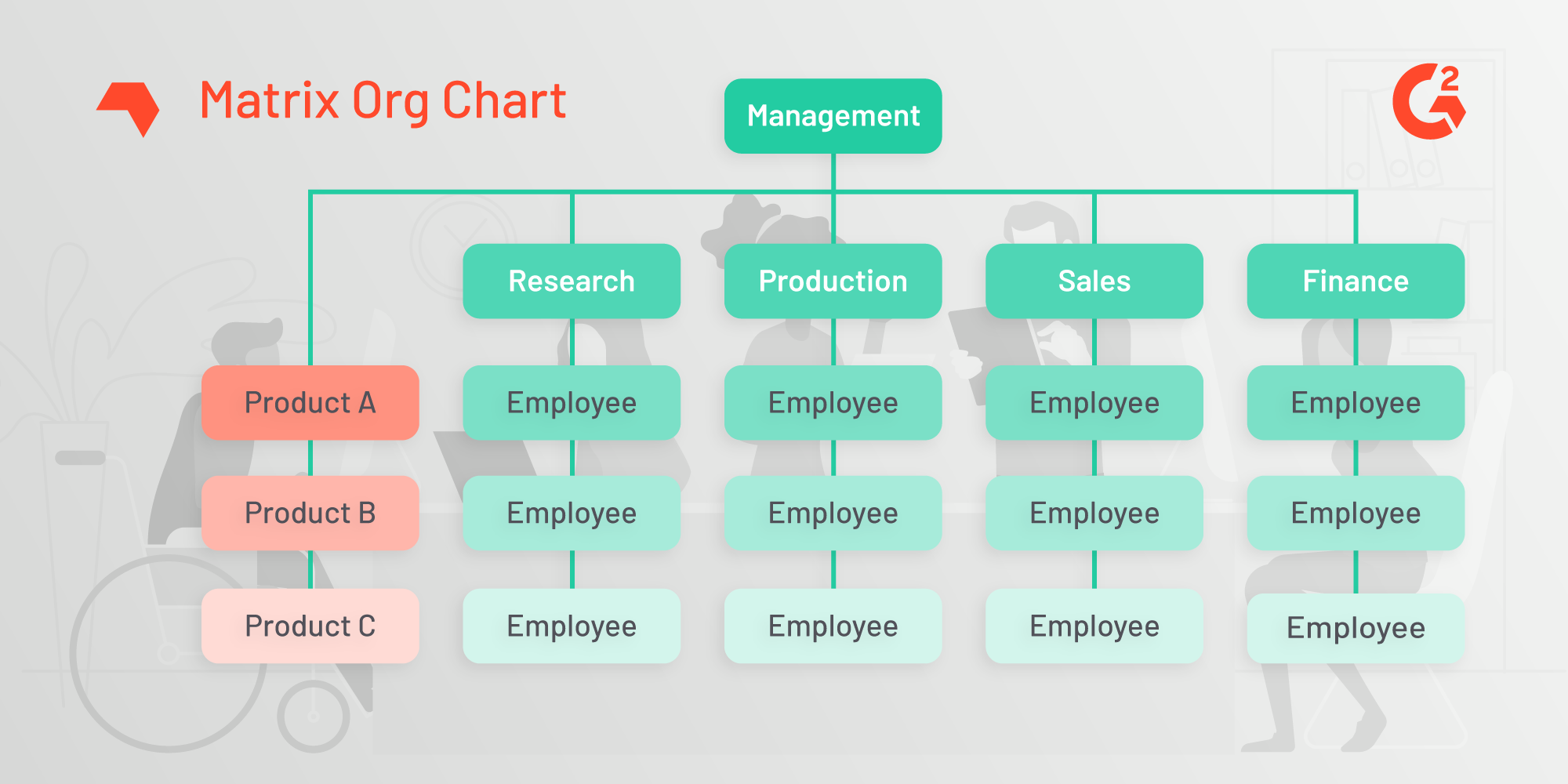Types Of Organizational Chart In Management
