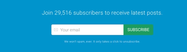 newsletter subscription lead capture form