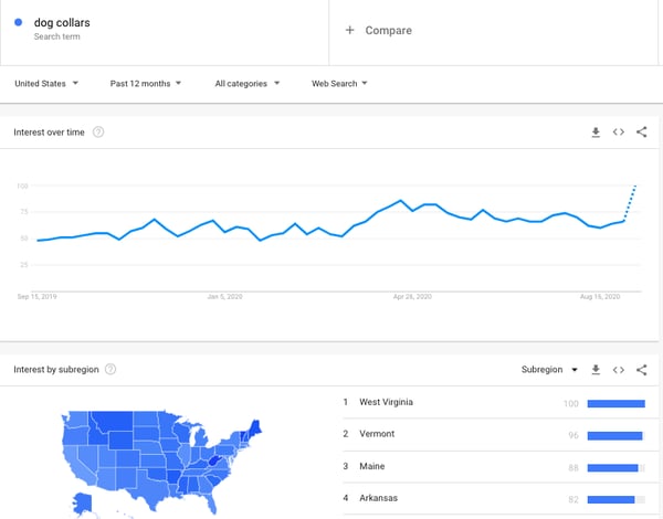 dog collars google trends