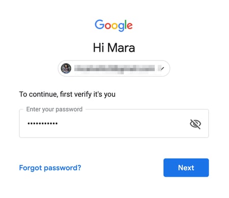 Enter Password in Gmail