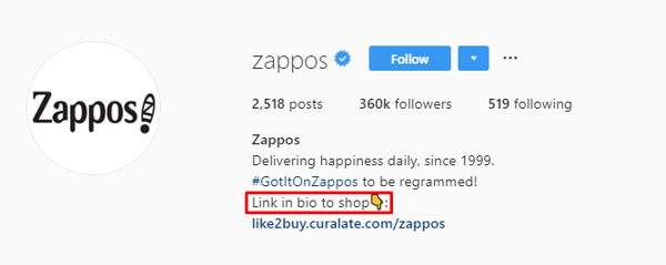 Zappos IG bio