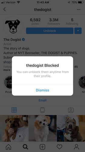 blocking-on-instagram