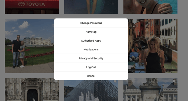 Instagram authorized applications 