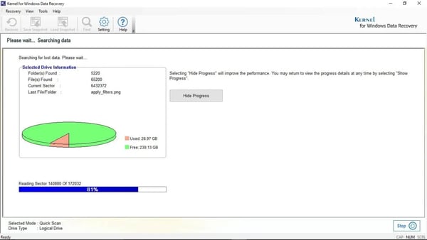 Kernel Data Recovery