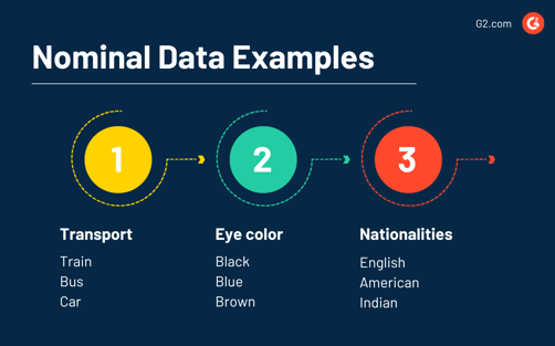 Qualitative vs. Quantitative Data: Which to Use in Research?