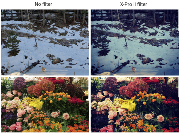 X Pro II filter on Instagram