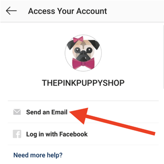 forgot-instagram-password-send-email