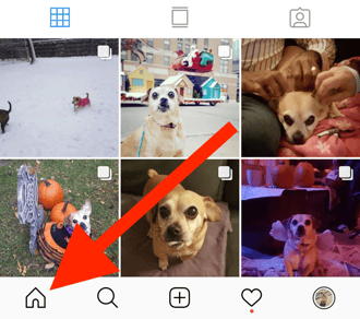 instagram-home-feed