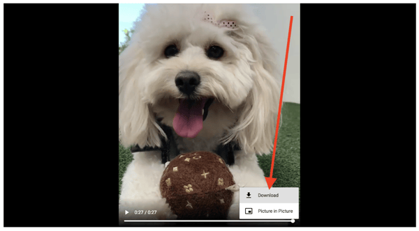 how-to-download-instagram-video-pc