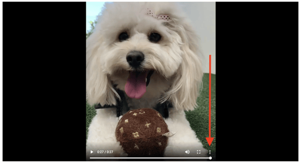 instagram-video-download-menu