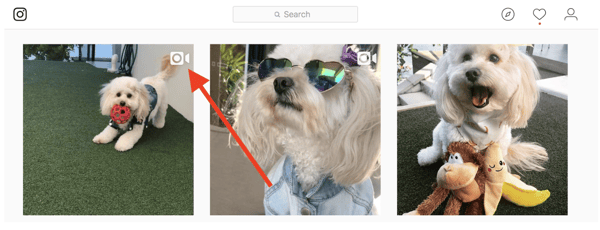 instagram-video-to-download