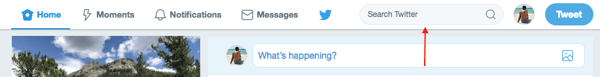 Twitter Search bar