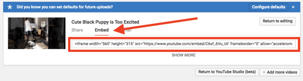 can-unlisted-youtube-videos-be-embedded-yes
