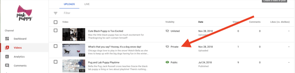 change-youtube-video-to-unlisted