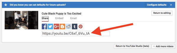 how to share an unlisted video on YouTube