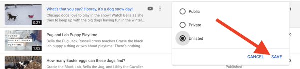 save-unlisted-video-on-youtube