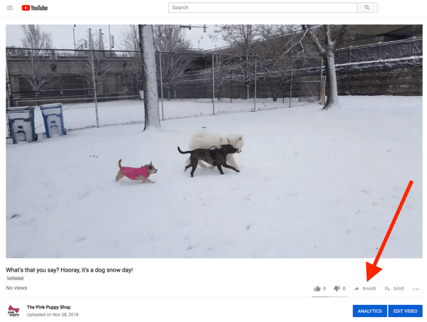 share unlisted youtube video