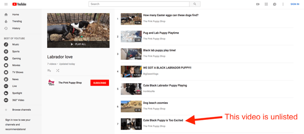 youtube-unlisted-meaning