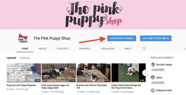 如何在 YouTube 上创建播放列表 - 全面指南(教你更有效地引流和提高订阅量) 如何在 YouTube 上创建播放列表 - 全面指南(教你更有效地引流和提高订阅量)
