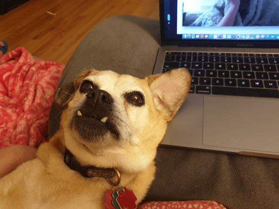 life-and-home