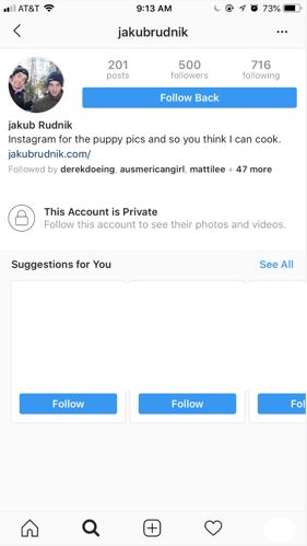 Private Instagram account example