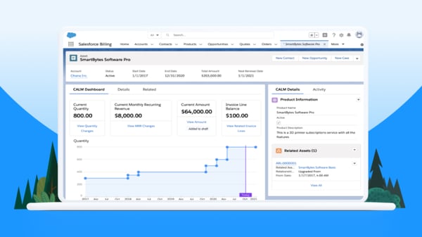 Salesforce Revenue Cloud