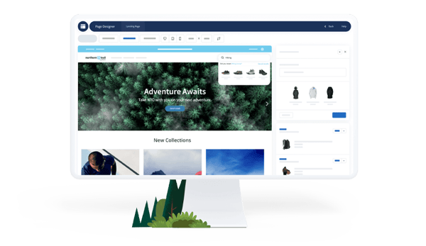 Salesfornce B2C