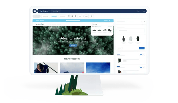Salesfornce B2C