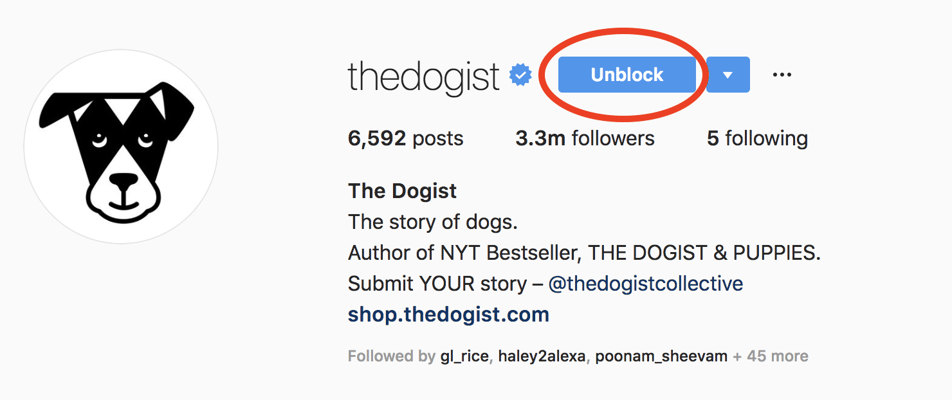 instagram-block