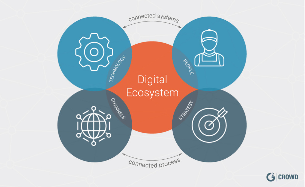 Digital Platform Trends: The Digital Ecosystem