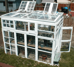 estufa de janelas recicladas