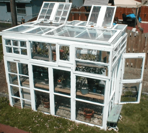 recycled-window-greenhouse