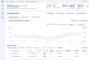 The Trade Desk campaign overview