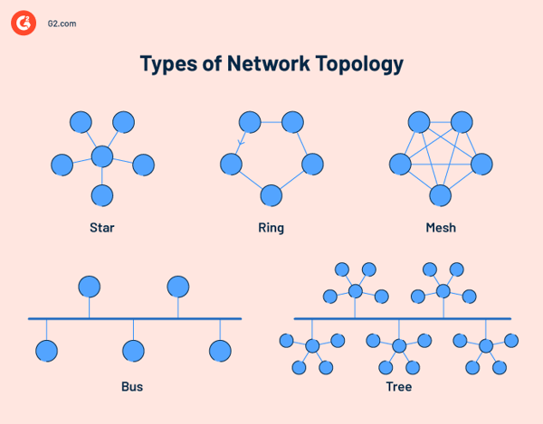 Network topology types