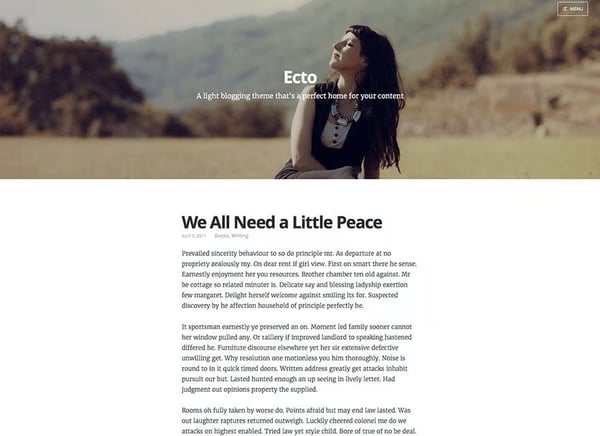 WordPress-1