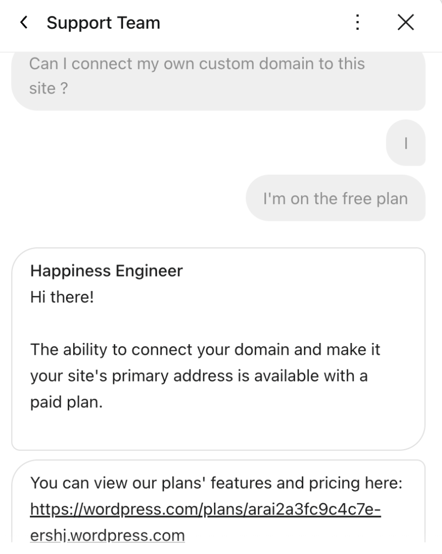 Wordpress customer chat