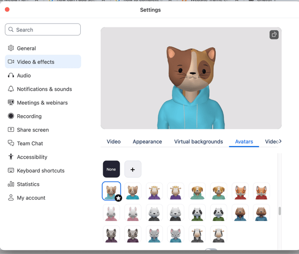 Zoom video avatar effects