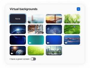Zoom virtual background options